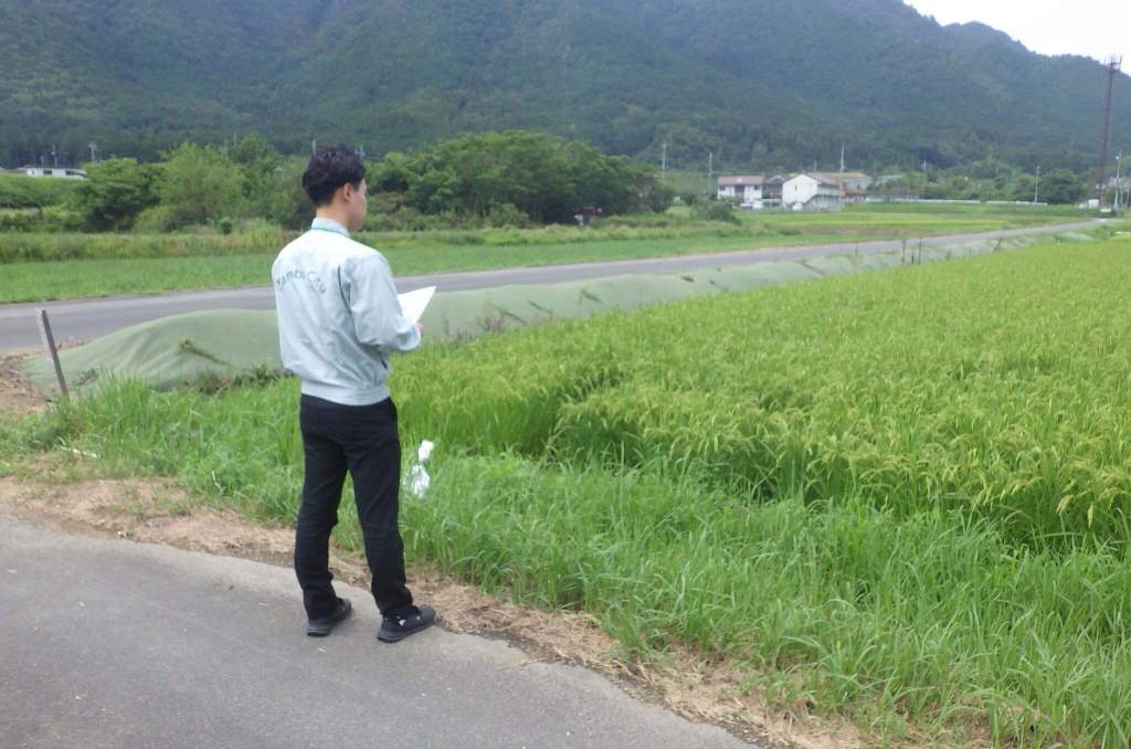 兵庫県丹波市が目指す衛星データとAIで現地確認業務を54％省力化——272の農会と築く持続可能な農業DXモデル