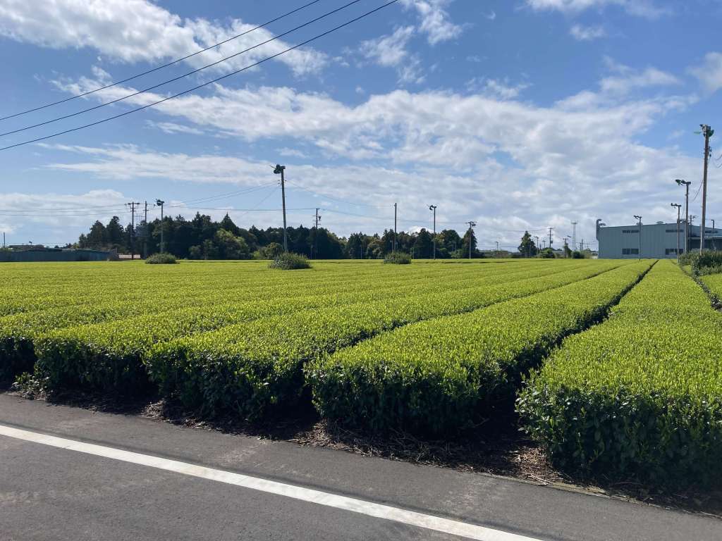 静岡県が実証する「農地DX」ーアクタバ導入で荒廃農地調査を73％効率化
